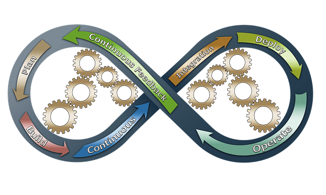 ERP VS Custom Development