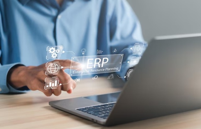 Custom ERP Solutions